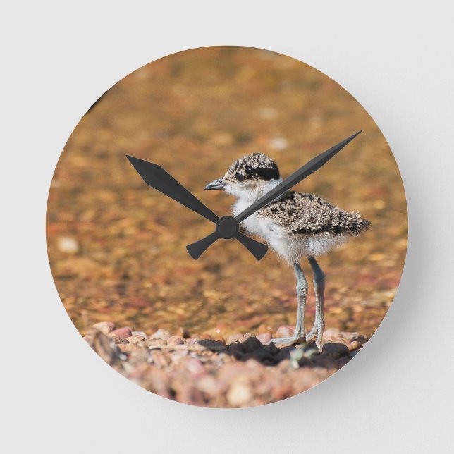 Baby Bird Rund Klocka (Framsida)