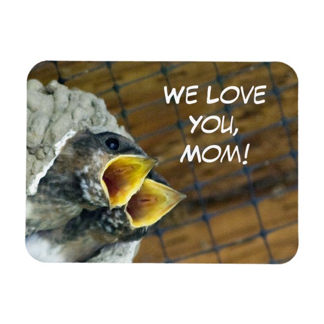 Baby Birds Premium Magnet (Horisontell)