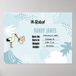 Baby Birkeland Stats Nursery Wall Art Poster