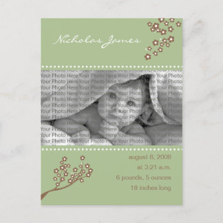 Baby Birth Notification Sage Grönt Gren Design Meddelande Vykort