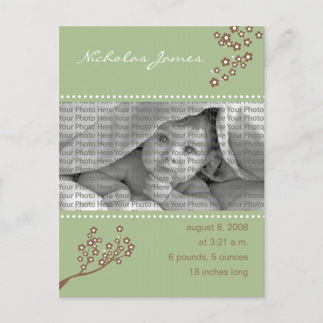 Baby Birth Notification Sage Grönt Gren Design Meddelande Vykort (Framsida)