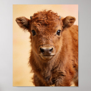 Baby Bison Porträtt – Prärie Nursery Väggkonst