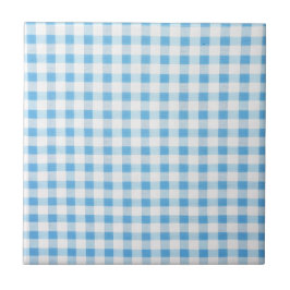 Baby Blue Gingham Kakelplatta