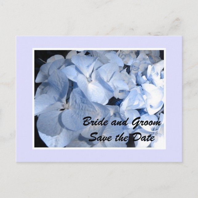 Baby Blue Hydrangea Spara Datum Meddelande Vykort (Framsida)