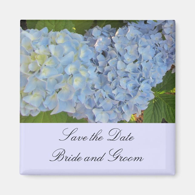 Baby blue Hydrangeas Magnet (Framsidan)