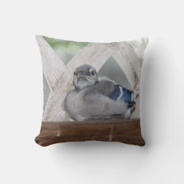 baby blue Jay Pillow Kudde