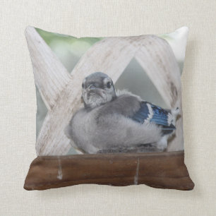 baby blue Jay Pillow Kudde