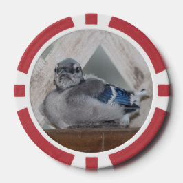 Baby blue Jay Poker Marker