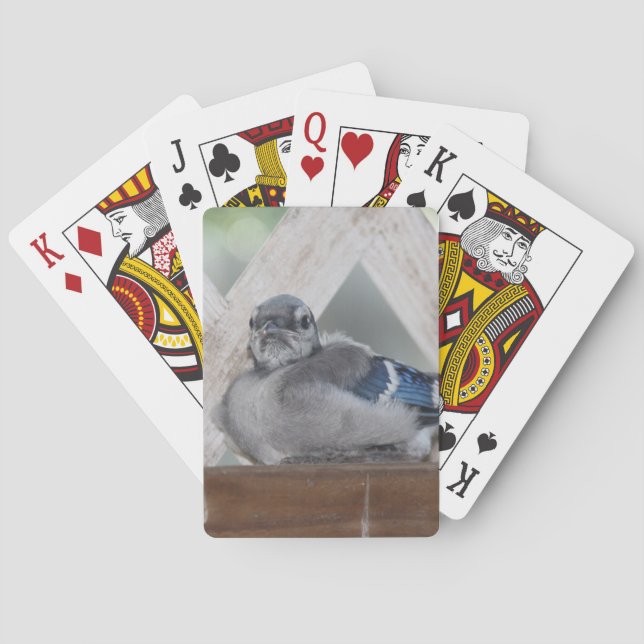 Baby blue Jay-uppspelningskort Casinokort (Baksidan)