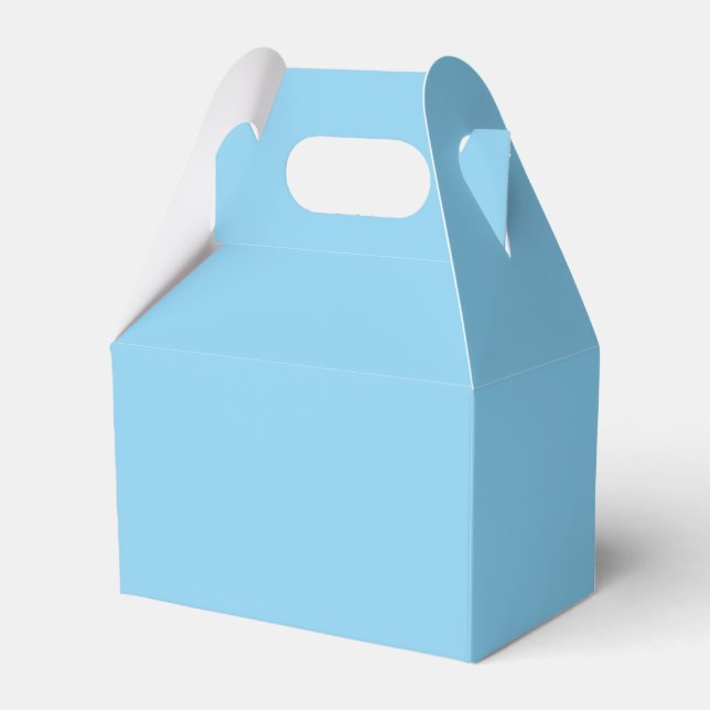 Baby blue ruta för favoriter presentaskar (Framsidan Sidan)