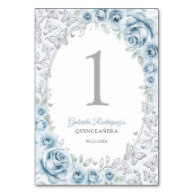 Baby Blue Silver Floral Quinceanera