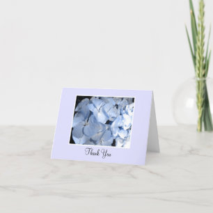 Baby blue vanlig hortensiatack tack kort