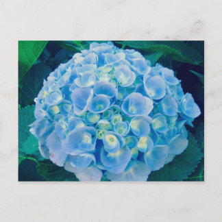 Baby blue vattenblåsa vykort