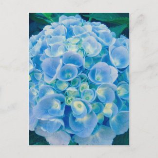 Baby blue vattenblåsa vykort