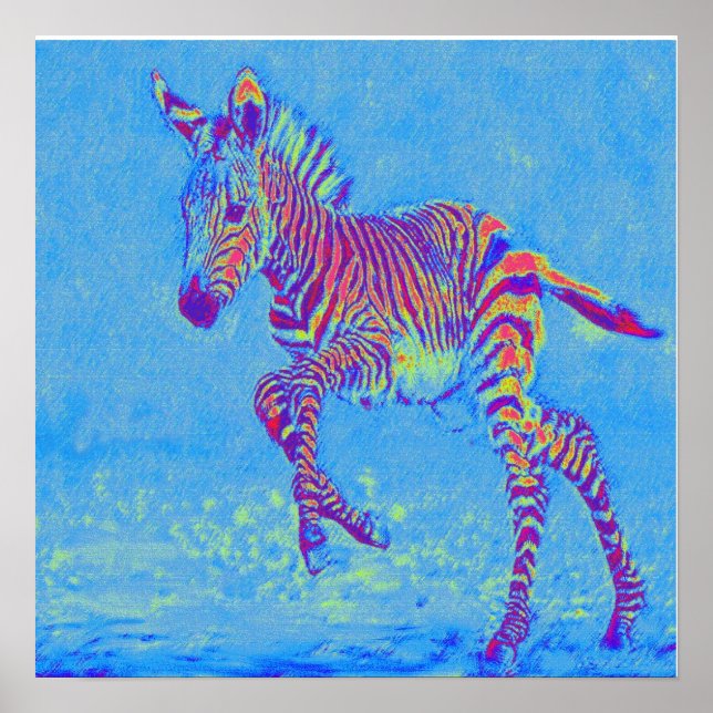 baby blue zebra-löpning poster (Framsidan)