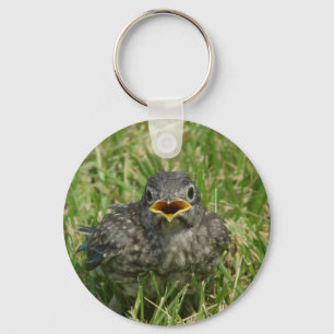 Baby Bluebird Nyckelring
