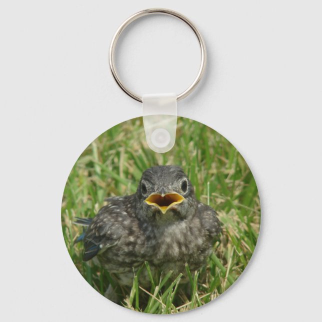 Baby Bluebird Nyckelring (Framsida)