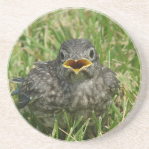 Baby Bluebird Underlägg Sandsten