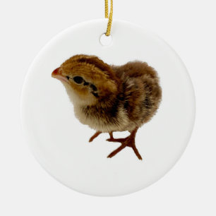 Baby Bobwhite Quail Julgransprydnad Keramik