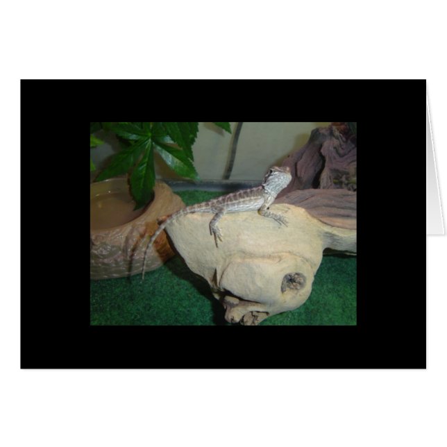 Baby-böjd draken hälsningskort (Framsidan Horizontal)