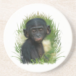Baby Bonobo Ape Underlägg