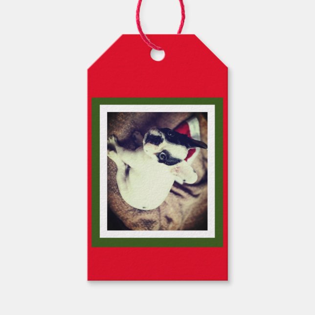 Baby Boston Bull jul Presentetikett (Framsidan)