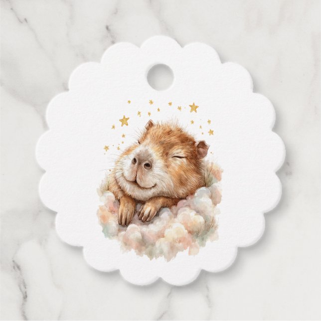 Baby Boy Shower • Cute Capybara Design Gåvor Etiketter (Framsida)