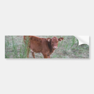 Baby Brown Cow. Bildekal