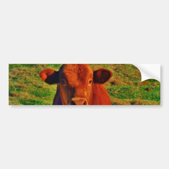 BABY BROWN COW EATING BILDEKAL (Framsidan)