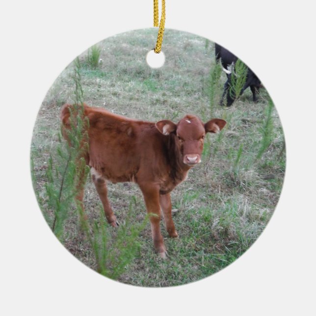 Baby Brown Cow. Julgransprydnad Keramik (Framsidan)