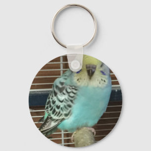 Baby budgie nyckelring
