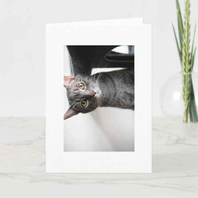 Baby Bug Kort (Framsida)