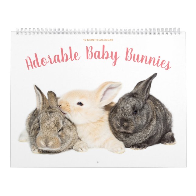 Baby Bunnies kalender (Omslag)