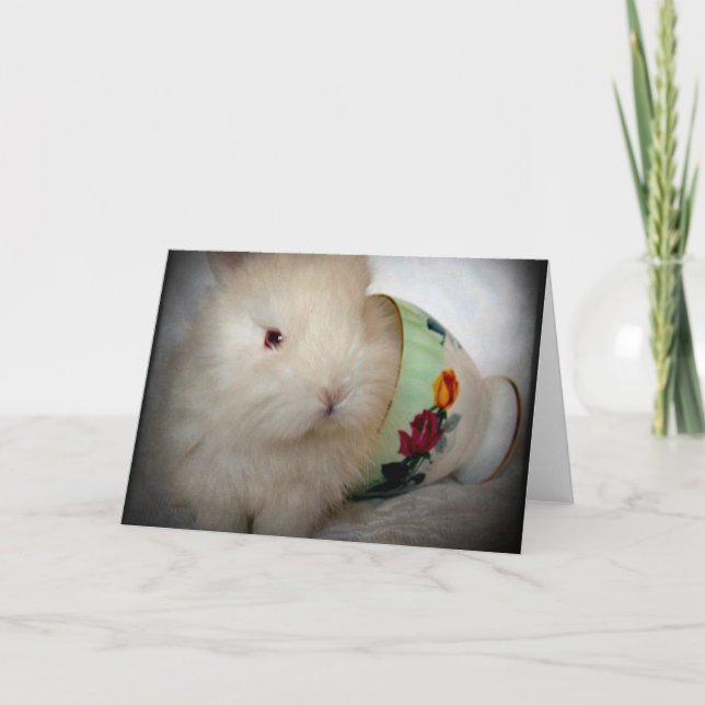 Baby Bunny Alla Tillfällen  Kort (Framsida)