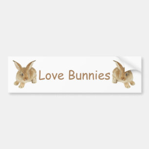 BABY BUNNY BILDEKAL