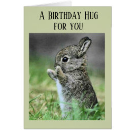 Baby Bunny Birthday Hug Hälsningskort