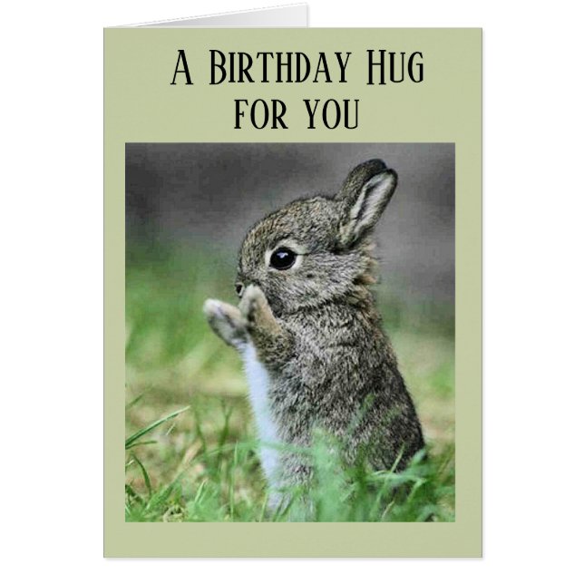 Baby Bunny Birthday Hug Hälsningskort (Framsidan)