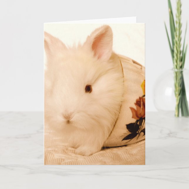 Baby Bunny Kort (Framsida)