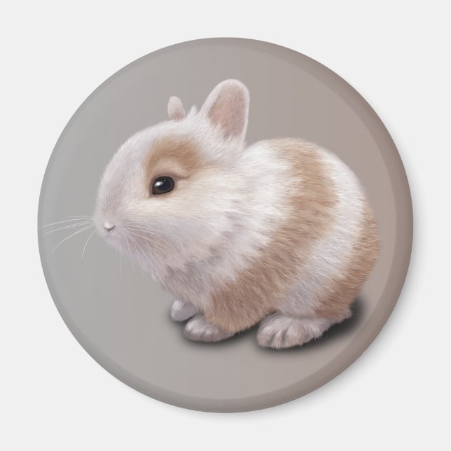 Baby Bunny Magnet (Framsidan)