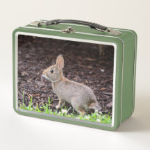 Baby Bunny Metall Lunchbox