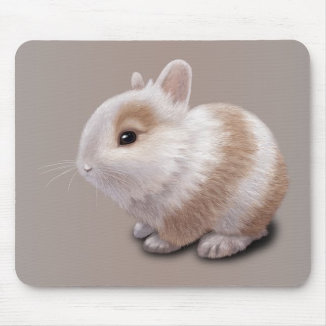 Baby Bunny Musmatta (Framsidan)