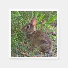 Baby Bunny Pappersservett