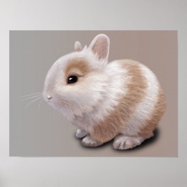 Baby Bunny Poster (Framsidan)