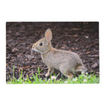 Baby Bunny Rabbit Laminated Bordstablett