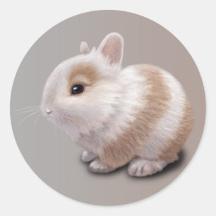 Baby Bunny Runt Klistermärke
