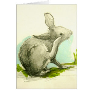 Baby Bunny Scratching Hans Öar Hälsningskort