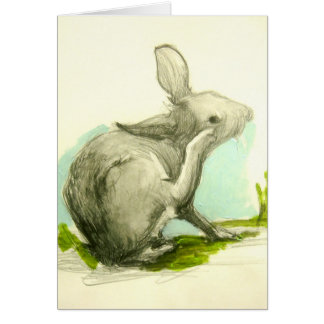 Baby Bunny Scratching Hans Öar Hälsningskort