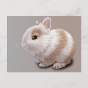 Baby Bunny Vykort