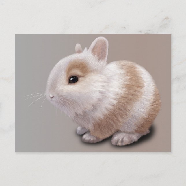 Baby Bunny Vykort (Framsida)