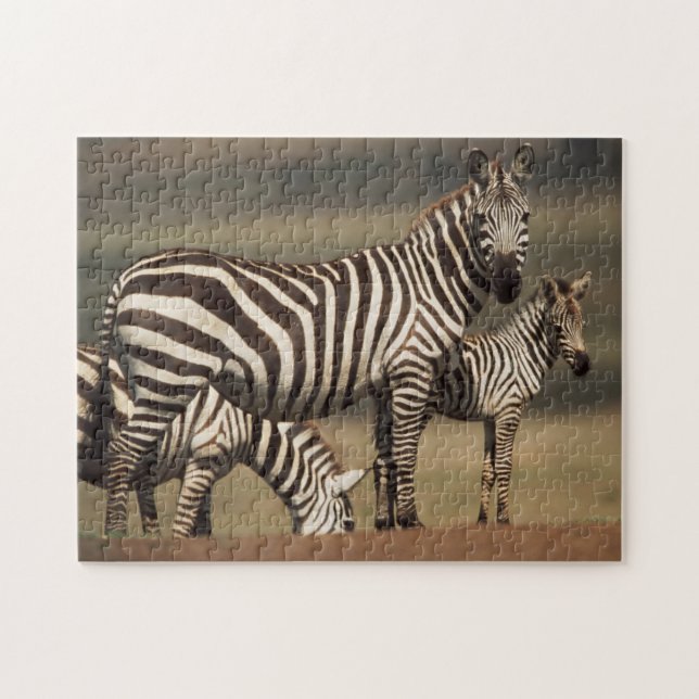Baby Burchells zebra med mor Pussel (Horisontell)